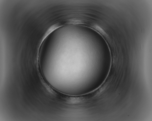 X0000086901378200704161304