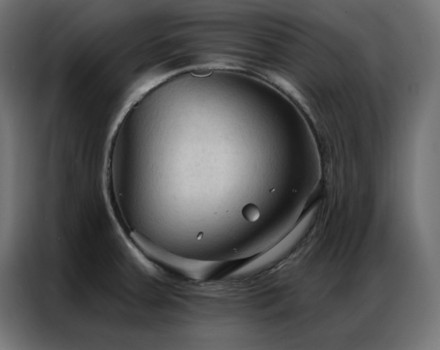 X0000086901379200704161304
