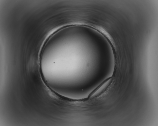 X0000086901380200704161304