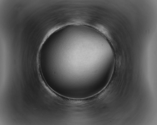 X0000086901382200704161304