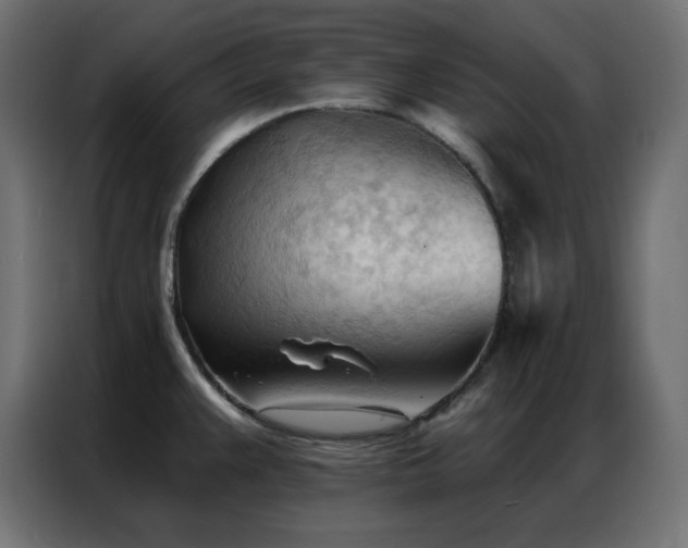 X0000086901383200704161304
