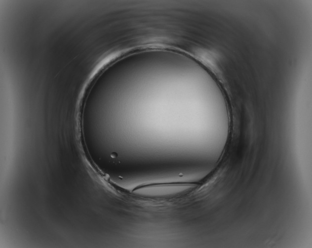 X0000086901384200704161304