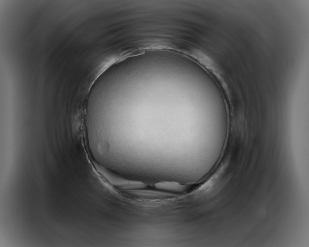 X0000086901385200704161304