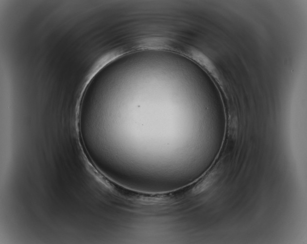 X0000086901386200704161304