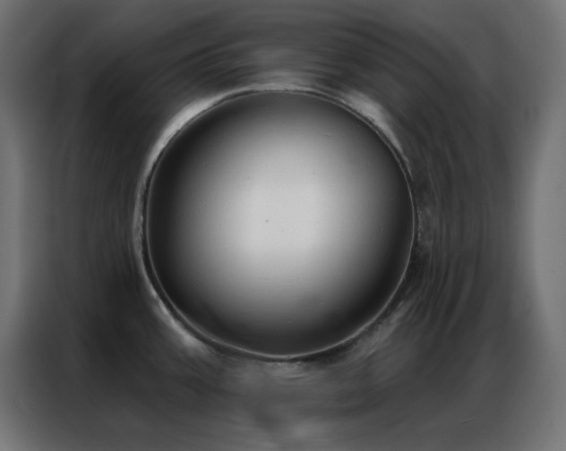 X0000086901387200704161304