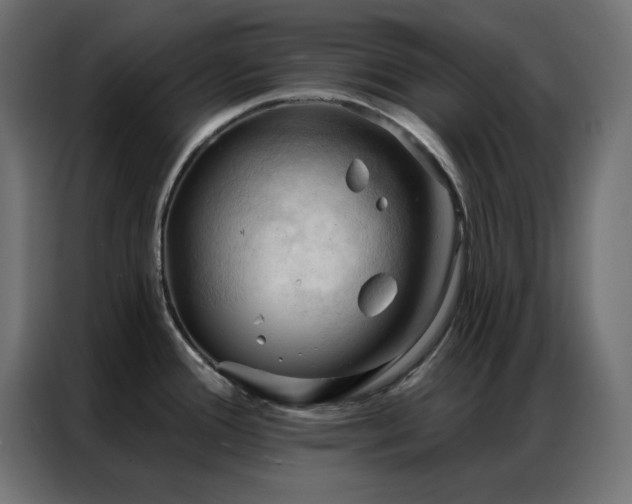 X0000086901388200704161304