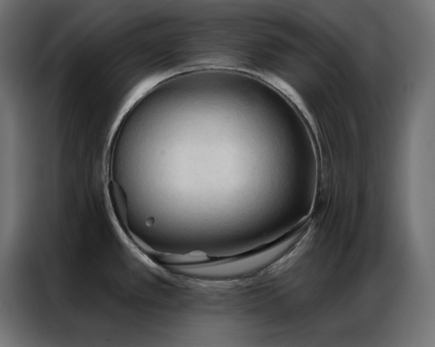 X0000086901389200704161303