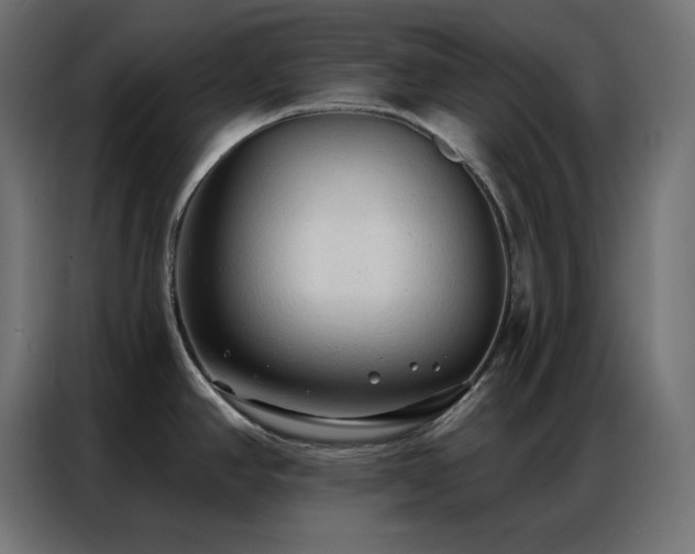 X0000086901390200704161303