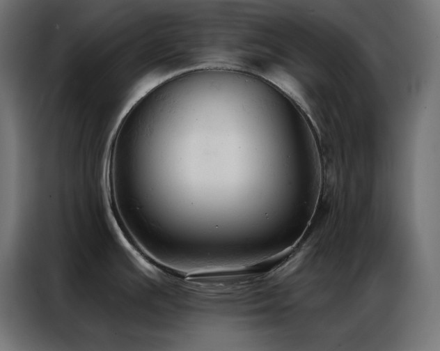 X0000086901391200704161303