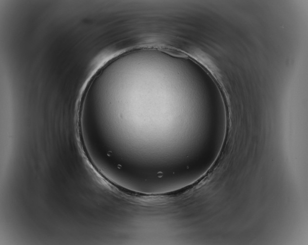 X0000086901392200704161303