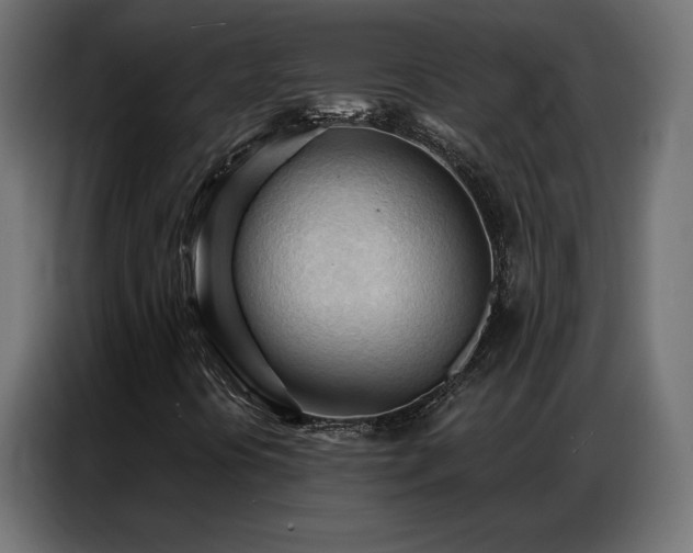 X0000086901394200704161303