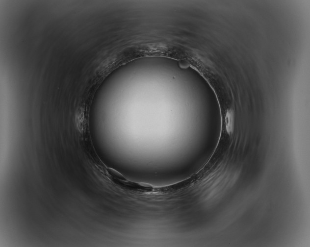 X0000086901395200704161303