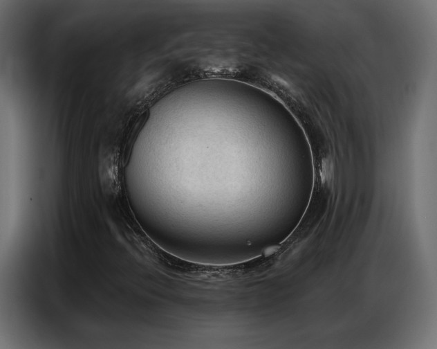 X0000086901396200704161303