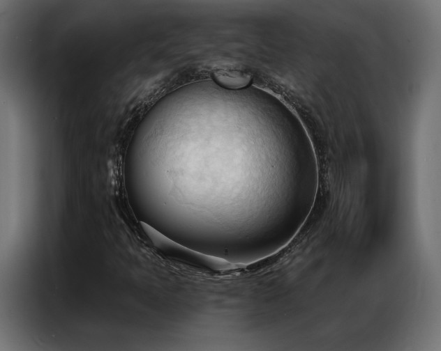 X0000086901397200704161303