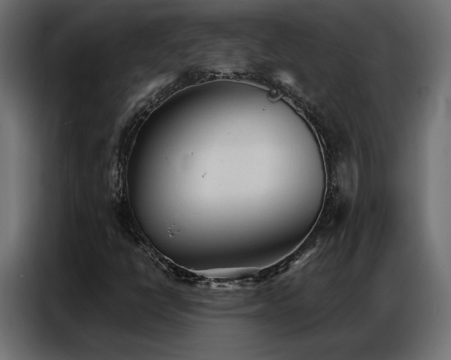 X0000086901398200704161303