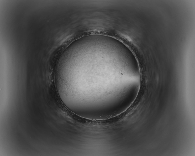 X0000086901399200704161303