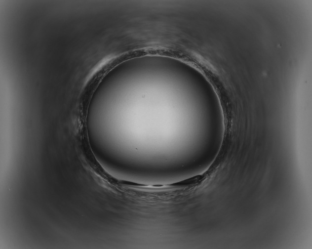 X0000086901400200704161303