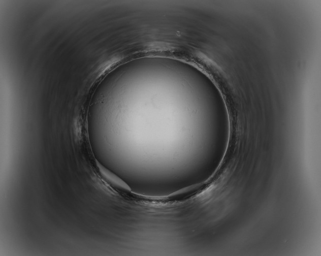 X0000086901401200704161303