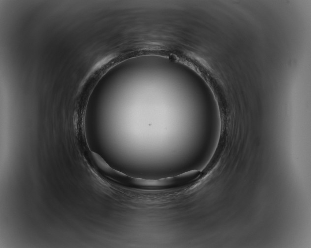 X0000086901402200704161303