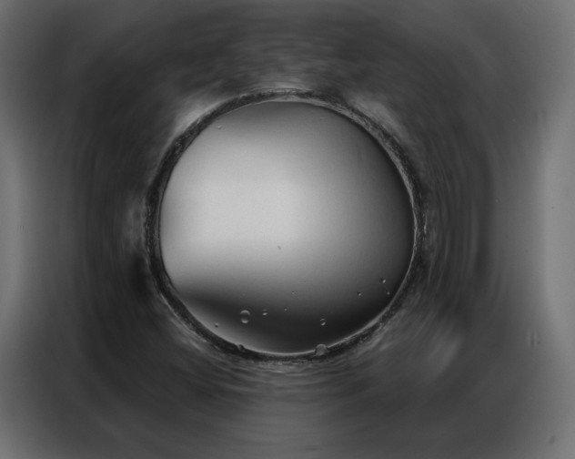 X0000086901404200704161303