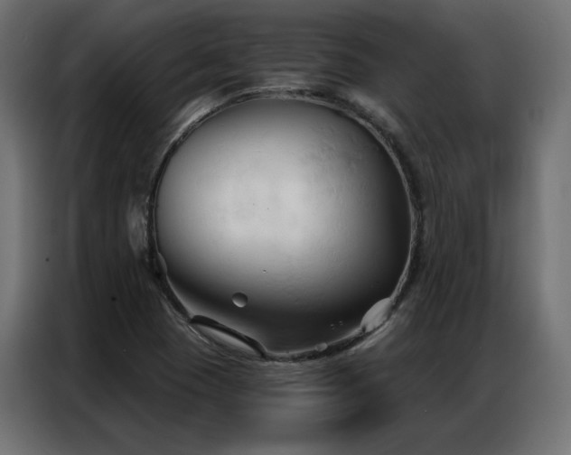 X0000086901409200704161303