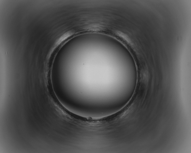 X0000086901410200704161303