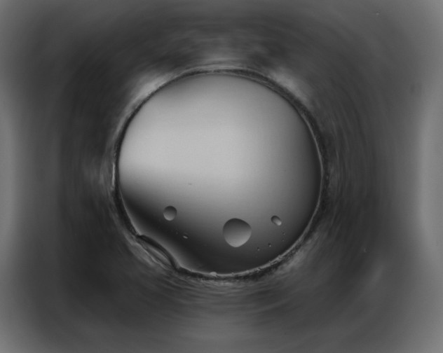 X0000086901413200704161303