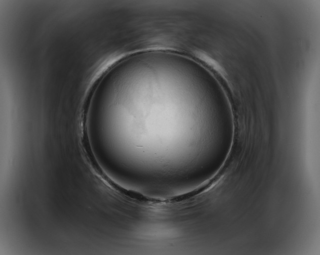 X0000086901415200704161303