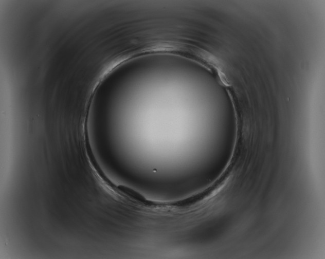 X0000086901417200704161303