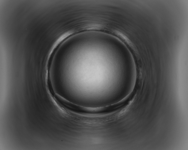 X0000086901418200704161303