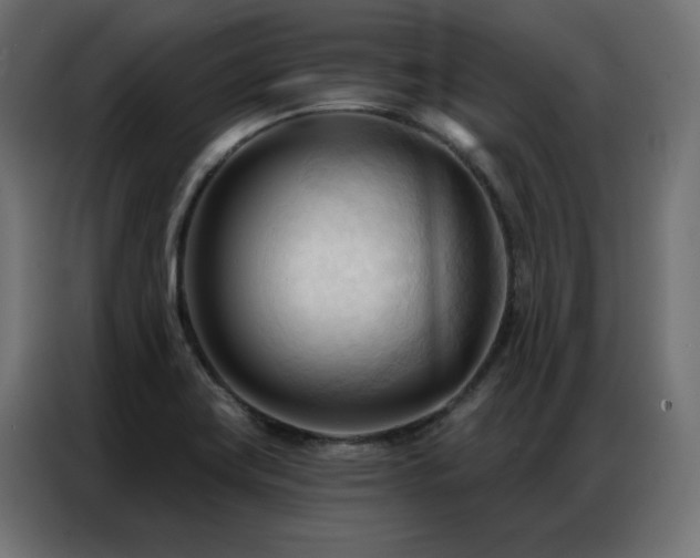 X0000086901419200704161303