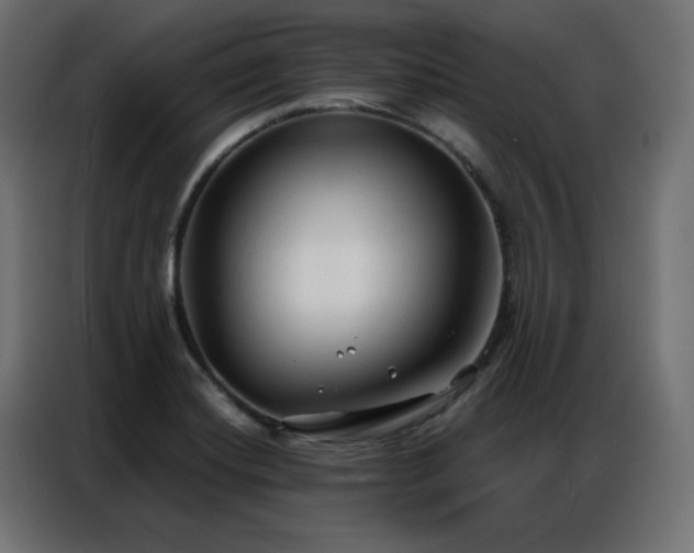 X0000086901420200704161303