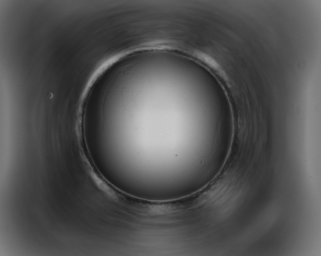 X0000086901421200704161303