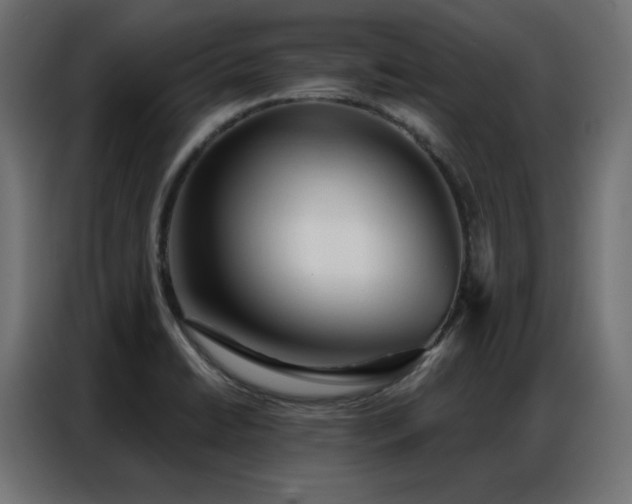 X0000086901422200704161303