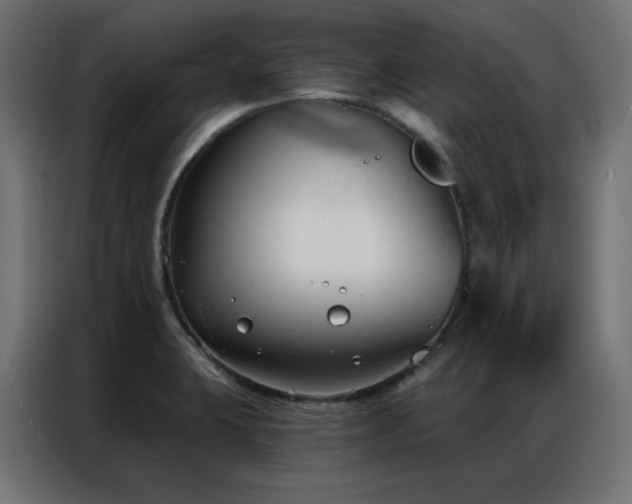 X0000086901423200704161303