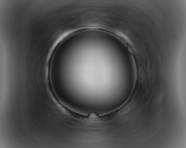 X0000086901424200704161303