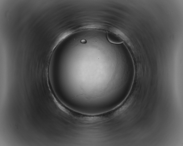 X0000086901425200704161303