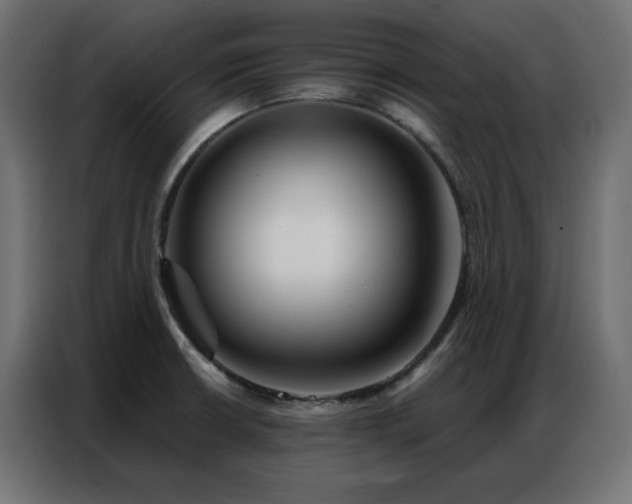 X0000086901426200704161303