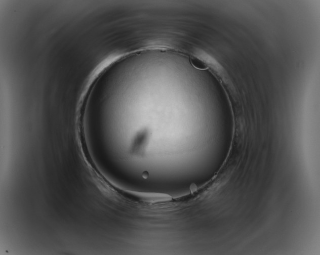 X0000086901427200704161303