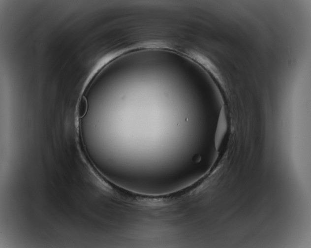 X0000086901428200704161303