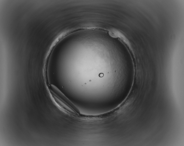 X0000086901429200704161303