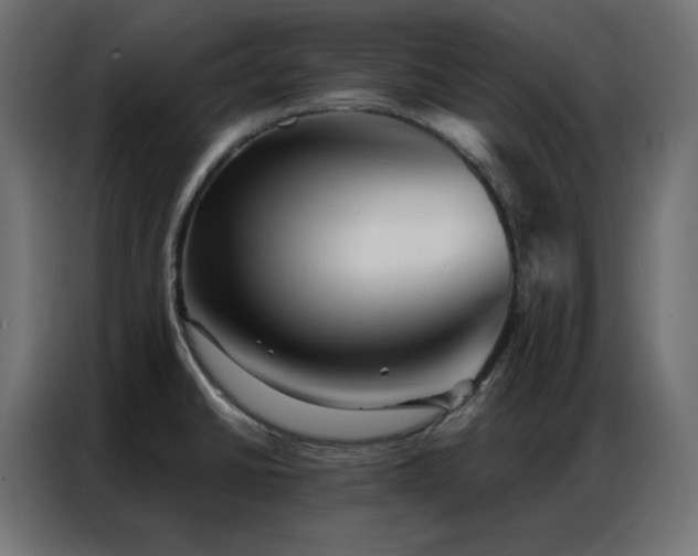 X0000086901430200704161303
