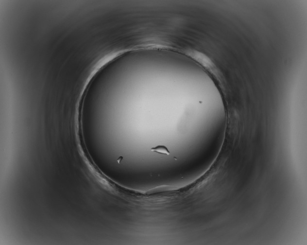 X0000086901431200704161303
