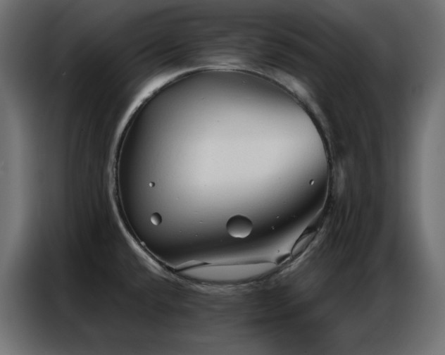 X0000086901432200704161303