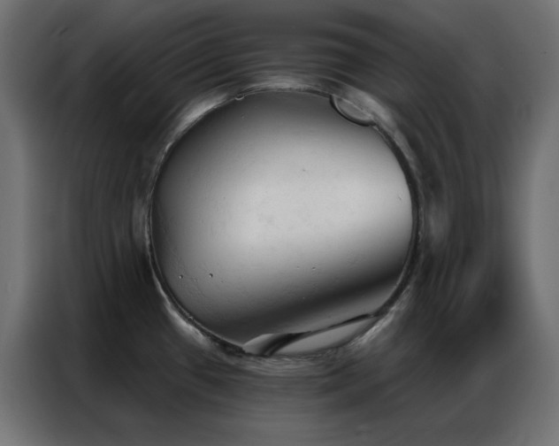 X0000086901433200704161303