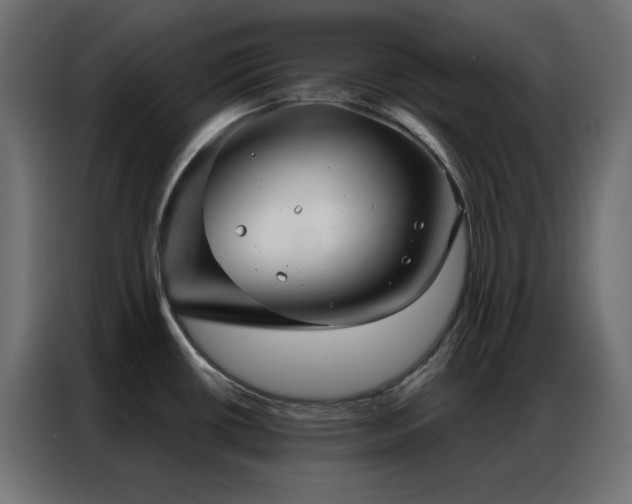 X0000086901434200704161303