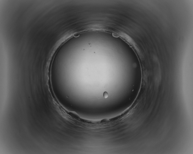 X0000086901435200704161303