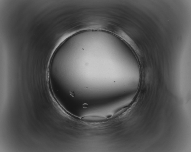 X0000086901436200704161303