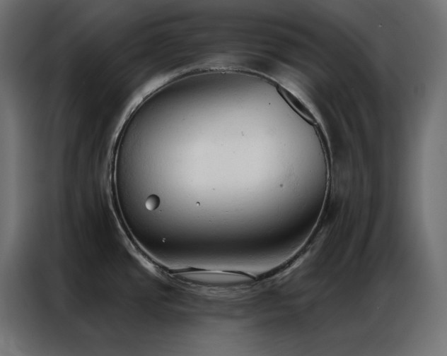 X0000086901437200704161303