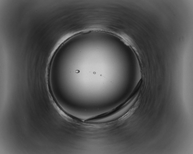 X0000086901438200704161303